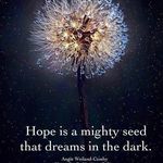 Jane Doty Fischer - @janekfischer510 - Instagram