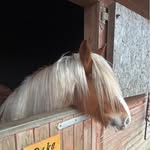 Jayne Douglas - @jayne.douglas.12 - Instagram