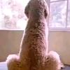 JayneDouglas - @segrecudsl0 - TikTok