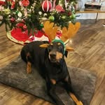 jaynedouglas - @jaynedouglas75 - Instagram