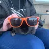 Jane Doyle - @jane.doyle11 - TikTok