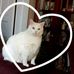 Jane Harrison Draper - Facebook