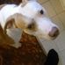 Jayne Draper - Facebook