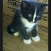 Jayne Draper - Facebook