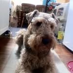 Jayne D - @jaynedunn21 - Instagram