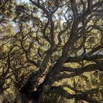 Jane Fairchild - @jane_fairchild - Instagram
