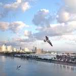 Jane Finney - @paisleybuddy58 - Instagram