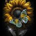 Janie Frye - Facebook