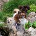 Jayne Frye - Facebook
