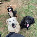 Jayne Lantzy Frye - @jaynefrye02 - Instagram