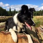Jayne Gibson - @jayne.gibson3 - Instagram