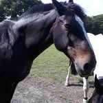 Jayne Gibson - @jaynegibson1003 - Instagram
