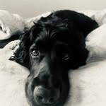 @jaynegibson - Instagram