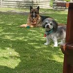 Jayne Glover - @jayne_ruth - Instagram