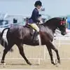 Jayne Glover - @jayne.glover - TikTok