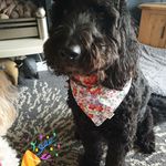 jerry  glover....(Watkins) - @jayneglover8 - Instagram