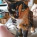 Jayne Golding - Facebook