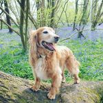 Jayne Goodison - @jaynegoodison - Instagram