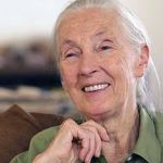 Dr. Jane Goodall - @janegoodallinst - Instagram