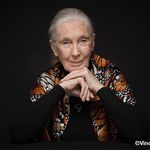 Jane Goodall Institut Schweiz - @jgischweiz - Instagram