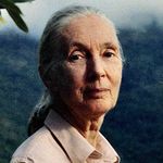 Jane Goodall Institute Australia - @janegoodallau - Instagram