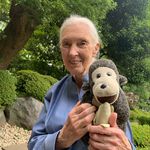 Jane Goodall Institute Japan - @jane_goodall_institute_japan - Instagram