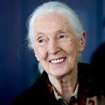 Jane Goodall Institute (Singapore) - @janegoodallsg - Instagram