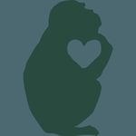 Jane Goodall Intézet - @janegoodallintezet - Instagram