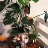 Jayne Gray - @jayne.gray6 - TikTok