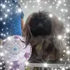 amandajaynegregg - @amandajaynegregg - TikTok