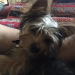 Jane Guthrie - @janecarolguthrie - Instagram