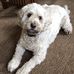 Jane Guthrie - Facebook