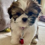 Jane Guthrie - @janeguthrie833 - Instagram