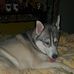 Jayne Hackett - Facebook