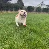 Jayne Hammond - @jayne.hammond1 - TikTok