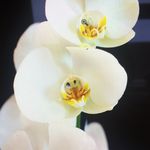 Jayne Hammond - @jham101 - Instagram