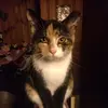 Jayne  Hart - @jhart2625 - TikTok