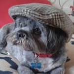 Jayne Hart - @jaynehart1962 - Instagram