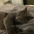 Jayne Hart - Facebook