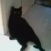 Jayne Harvey - @jayne.harvey8 - TikTok