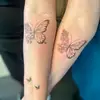 Jayne Harvey catz - @jayne.harvey.catz - TikTok