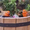jayneharvey45 - @jayneharvey45 - TikTok