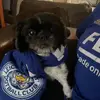 lornajayneharvey - @lornajayneharvey - TikTok