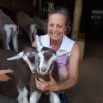 Jayne Benninghoff Henderson - @jaynehenderson57 - Instagram