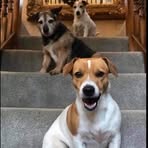 Jayne Henderson - Facebook