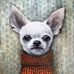 Jane Hills-Wierstra - Facebook