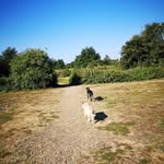 Jayne Hills - @tedlingtons_trails - Instagram