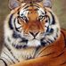 Jayne Hodges - Facebook