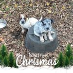 Jayne Hodges - @jayne.hodges5076 - Instagram