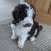 Jayne Holt - Facebook